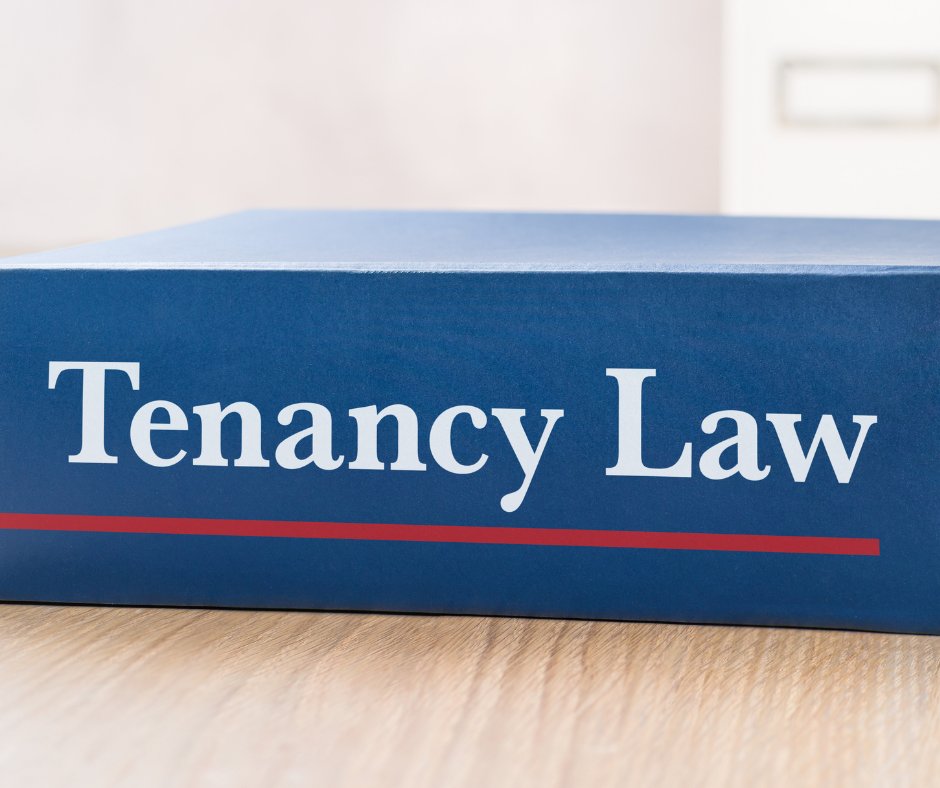 Condo Leasing Laws: What Every Tenant Should Understand (Tenancy Law 101)