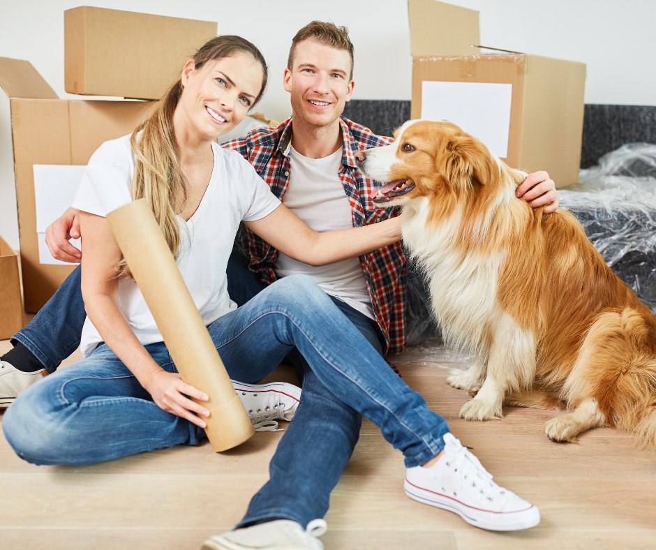 Condo Living with Pets: Tips for a Pet-Friendly Community