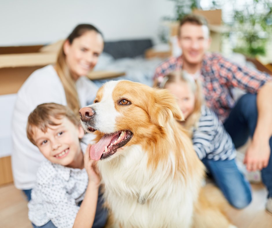 Condos as Great Starter Homes