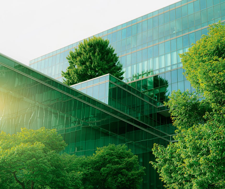 Creating Calm Spaces: Stress-Reducing Design in Canadian Condos