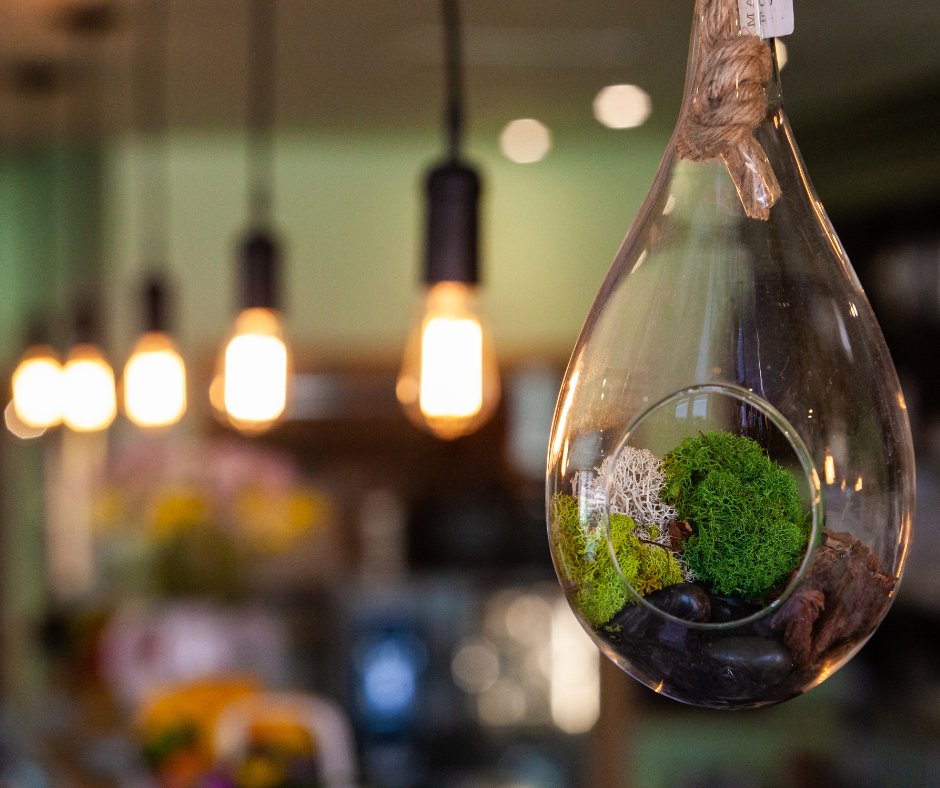 Eco-Friendly Outdoors: Condos and Sustainable Landscaping