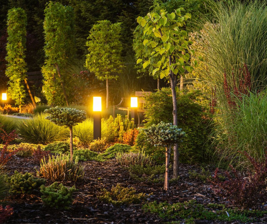 Gardens of Tomorrow: Landscaping Trends in Condo Living