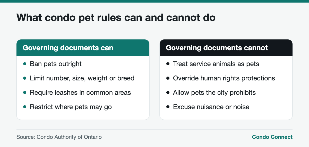 Comparison of what pet rules in Ontario condos can and cannot require