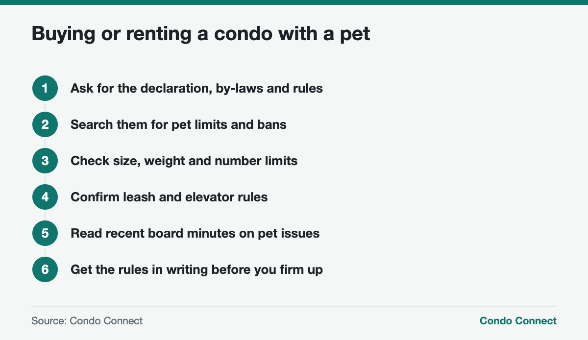Checklist for buying or renting an Ontario condo with a pet