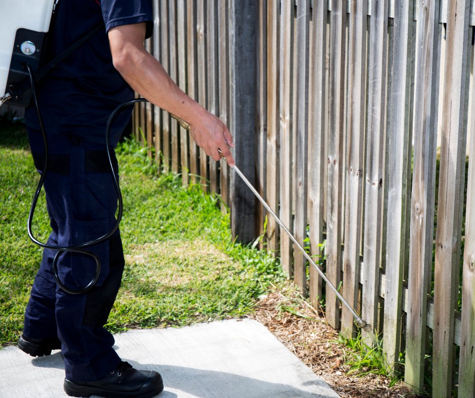 Securing Your Condo from Pests: Essential Control Methods