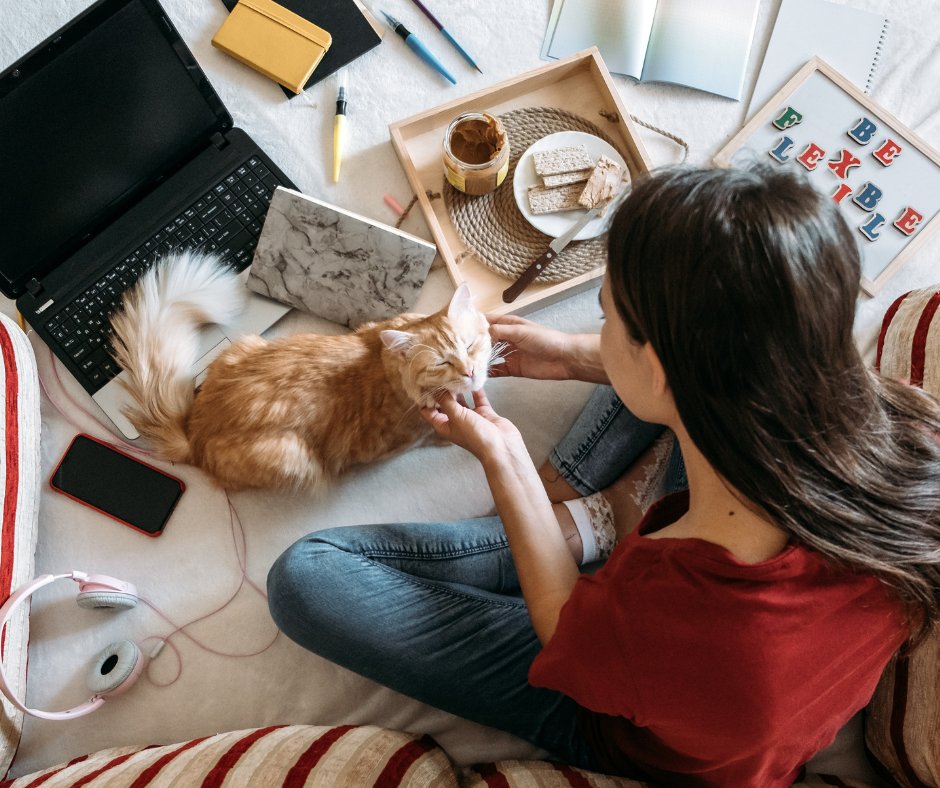 Unrestricted Living: Embracing Flexibility in Your Condo Rental Workspaces